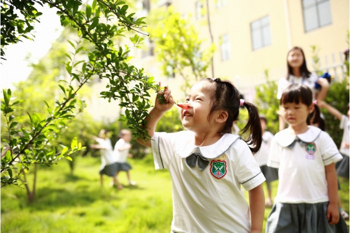 伟才0-6岁教育生态体系 ——追求生命自然成长的教育